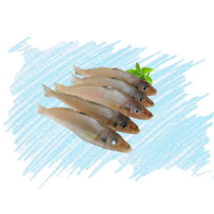 Lady Fish / Kilangan