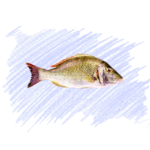 Emperor / Vilai Meen